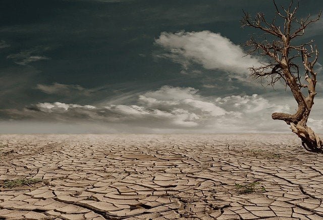 desertification - rapid loss of soil - environmental concerns