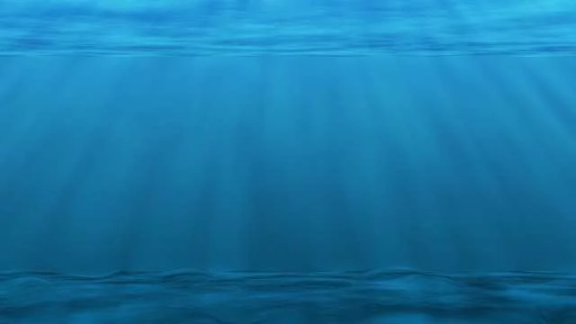 no fish in the ocean - environmental issues - marine species