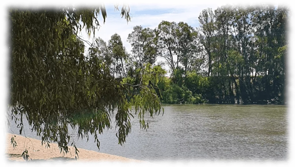 tree change in wagga is very possble