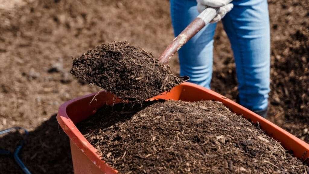 Backyard Composting Is Important