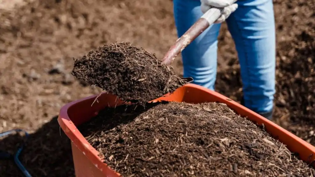 Backyard Composting Is Important