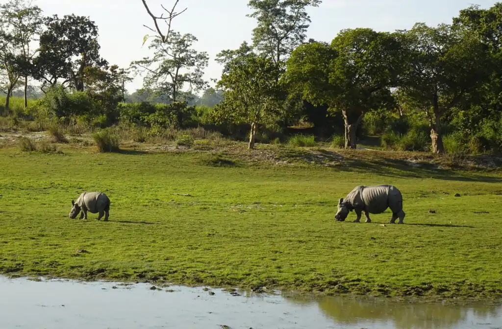 Protecting Endangered Species