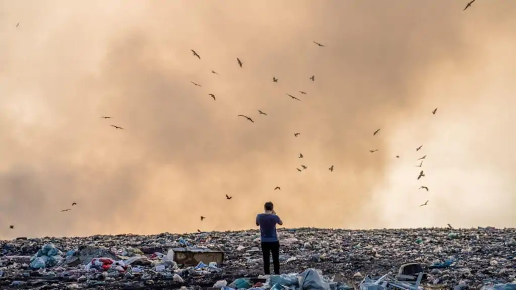landfill rubbish operations