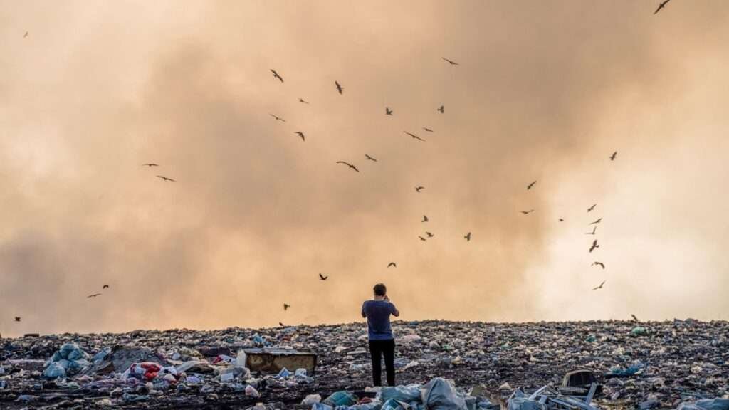 humans dumping their rubbish
