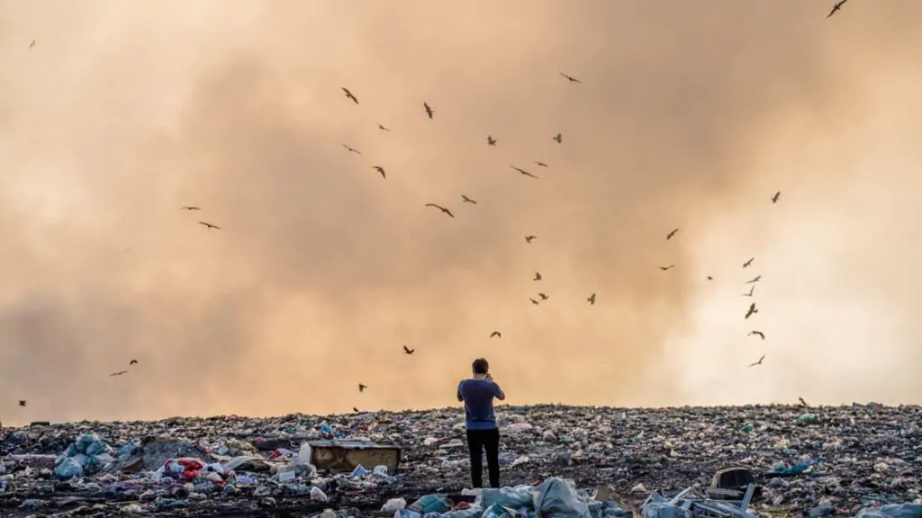 humans dumping their rubbish