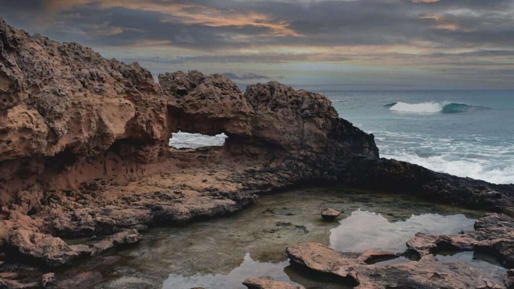 Marine Conservation And Coastal Restoration
