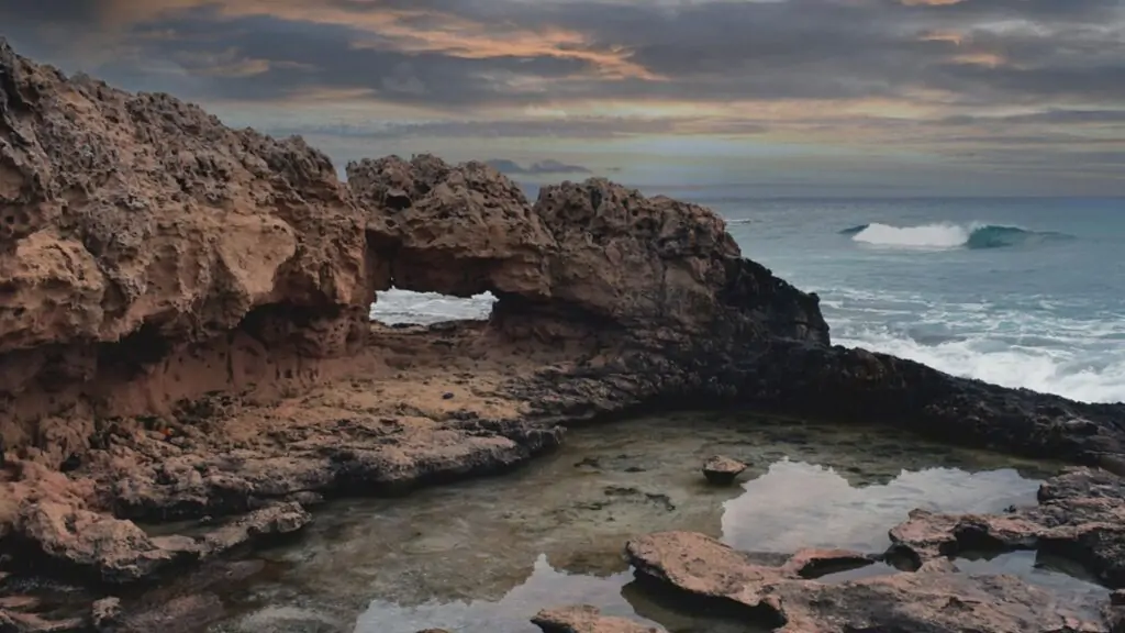 Marine Conservation And Coastal Restoration